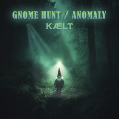 Anomaly