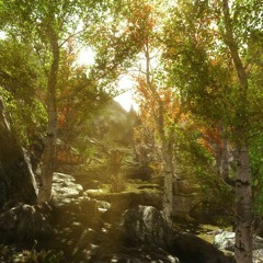 A journey through the thousand leaves