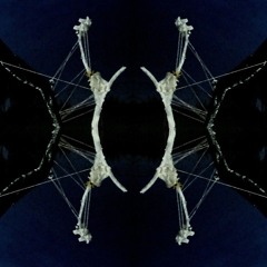 desolation sphere @ waterqualitymonitors rave at the end of the world