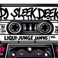 Sleek Mix Vol. 2- Liquid DnB