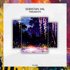 PREMIERE: Sebastian Hal — Reflections [Polyptych Limited White]