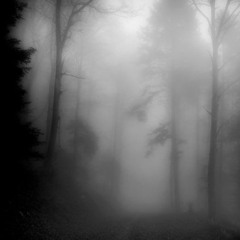 Mist