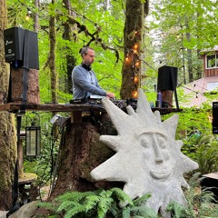 Welcome To The Forest