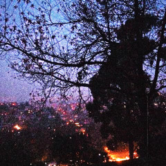 to pretend // october nights (p. matt bartkus)