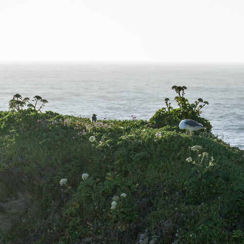 The Ocean Is Out There!