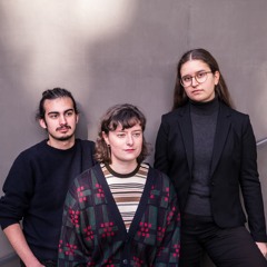 Hedwig Janko Trio: Disorder