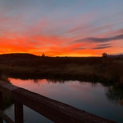 Yeah, That Does Sound Pretty Cool