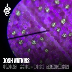 Josh Watkins - Aaja channel 1 - 01 10 24