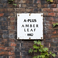 A Plus - Amber Leaf