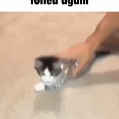 Foiled Again