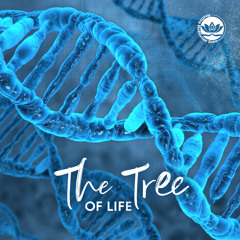 Positive Vibrations for DNA