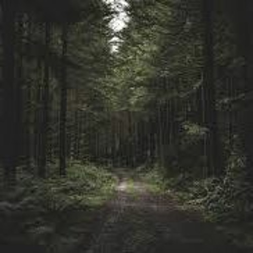 Rafahell - Forest E Dark (147 a 154 bpm)