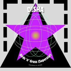 D!SHA - Birds'n Grass (Superstar) (Original Mix) | UNOFFICIAL REWORK - Promo Only