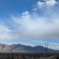 unnatural life 12 - Paradise Valley Backyard