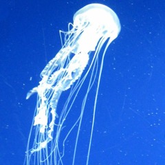 Sampha - Under (DADRAS Remix)