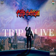 PsyFi PiiYushh - TRIP ALIVE