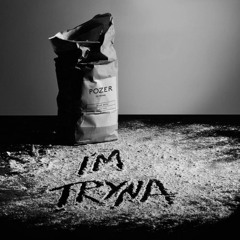 Pozer - I'M TRYNA (TOBISWAG REMIX)
