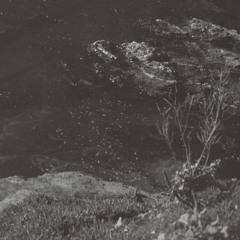 Guest Mixes