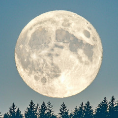 moonlit vibes (Instrumental)