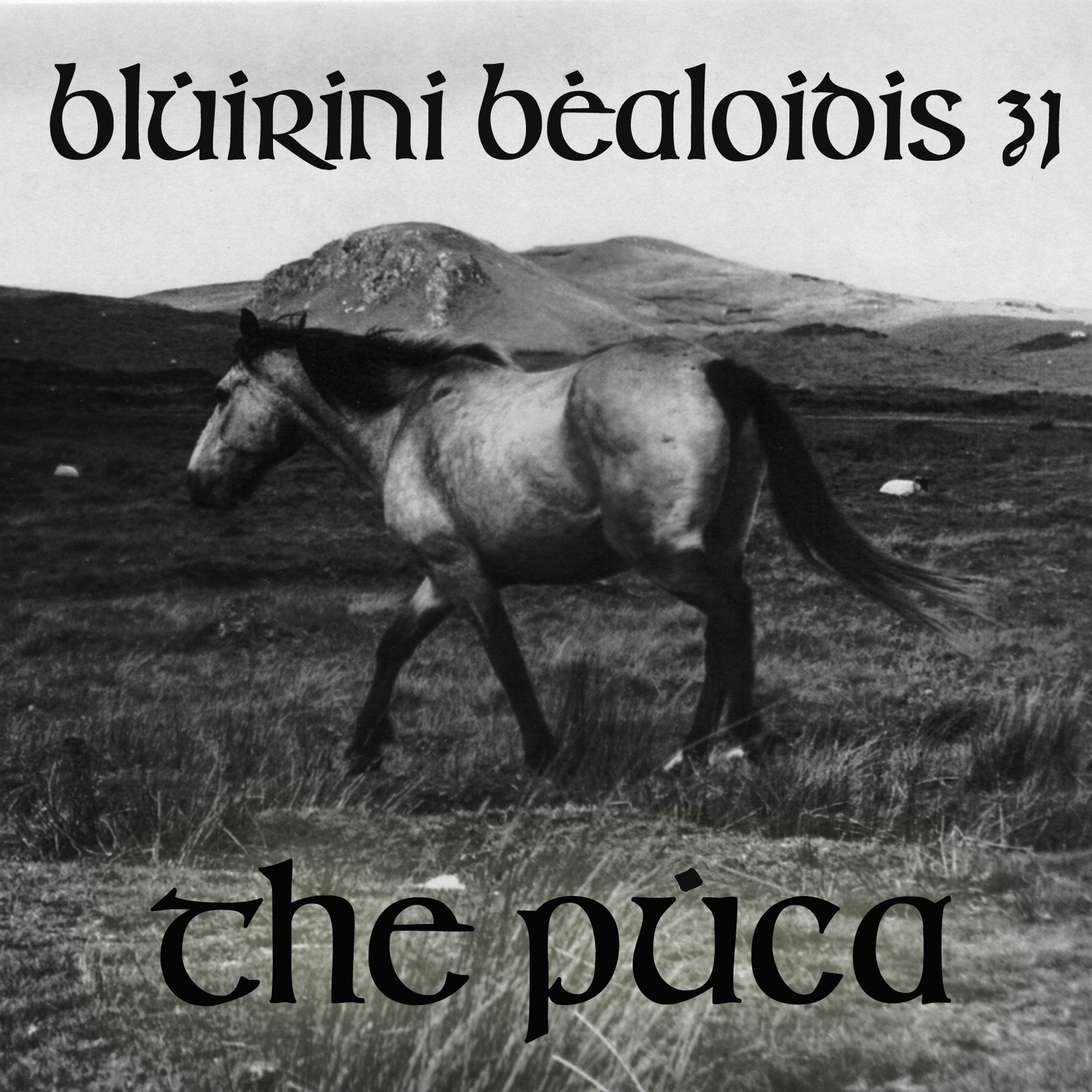 Blúiríní Béaloidis 31 - The Púca (with Aidan Harte)