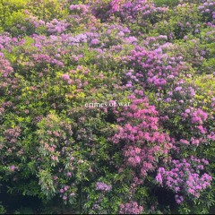 Crimes Of War (home demo)