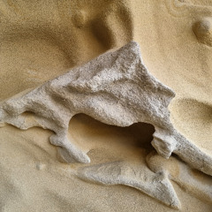 jo blankenburg - dirt (astrochimp remix)