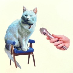 Soundtrack to a Decomposition