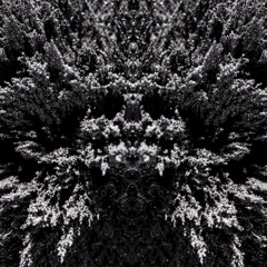 Illusion (feat Jordan Perlson)