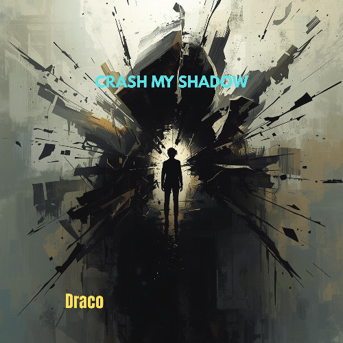 CRASH MY SHADOW
