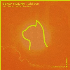 Benja Molina - Acid Sun [PURRFECTION]