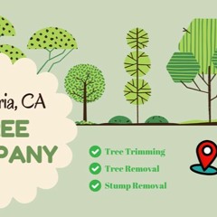 Tree Company Hesperia, CA