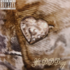Ya DDDigg? (2Slick)