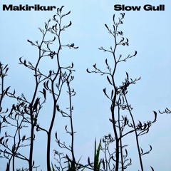 Slow Gull