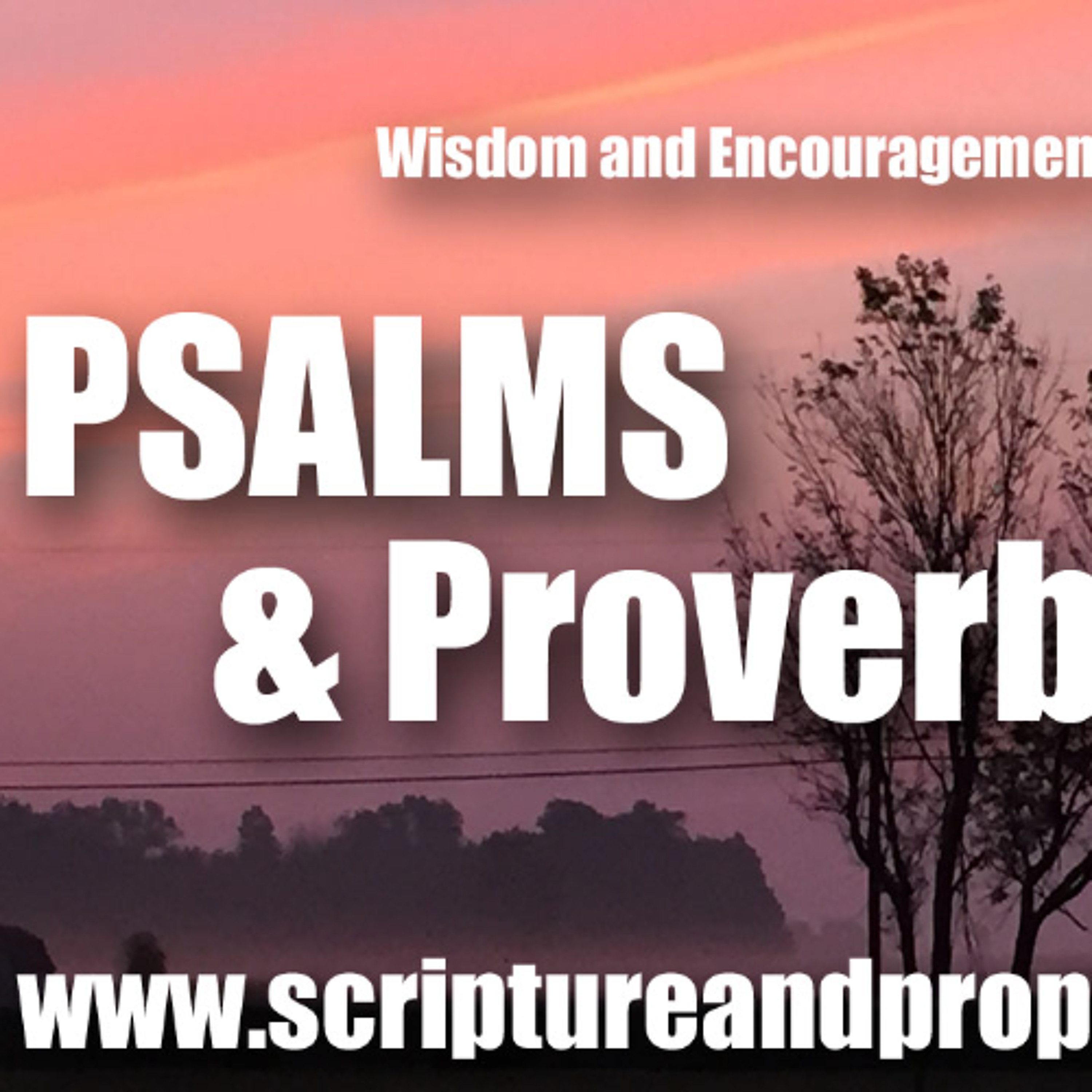 Scripture & Prophecy - Weekly Bible Studies