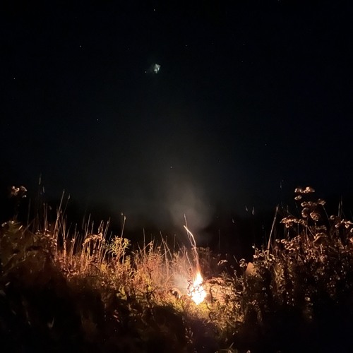 Not Here (demo)