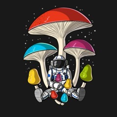 High In The Club - Yheti 🍄 ASTRoNoT Remix 🍄