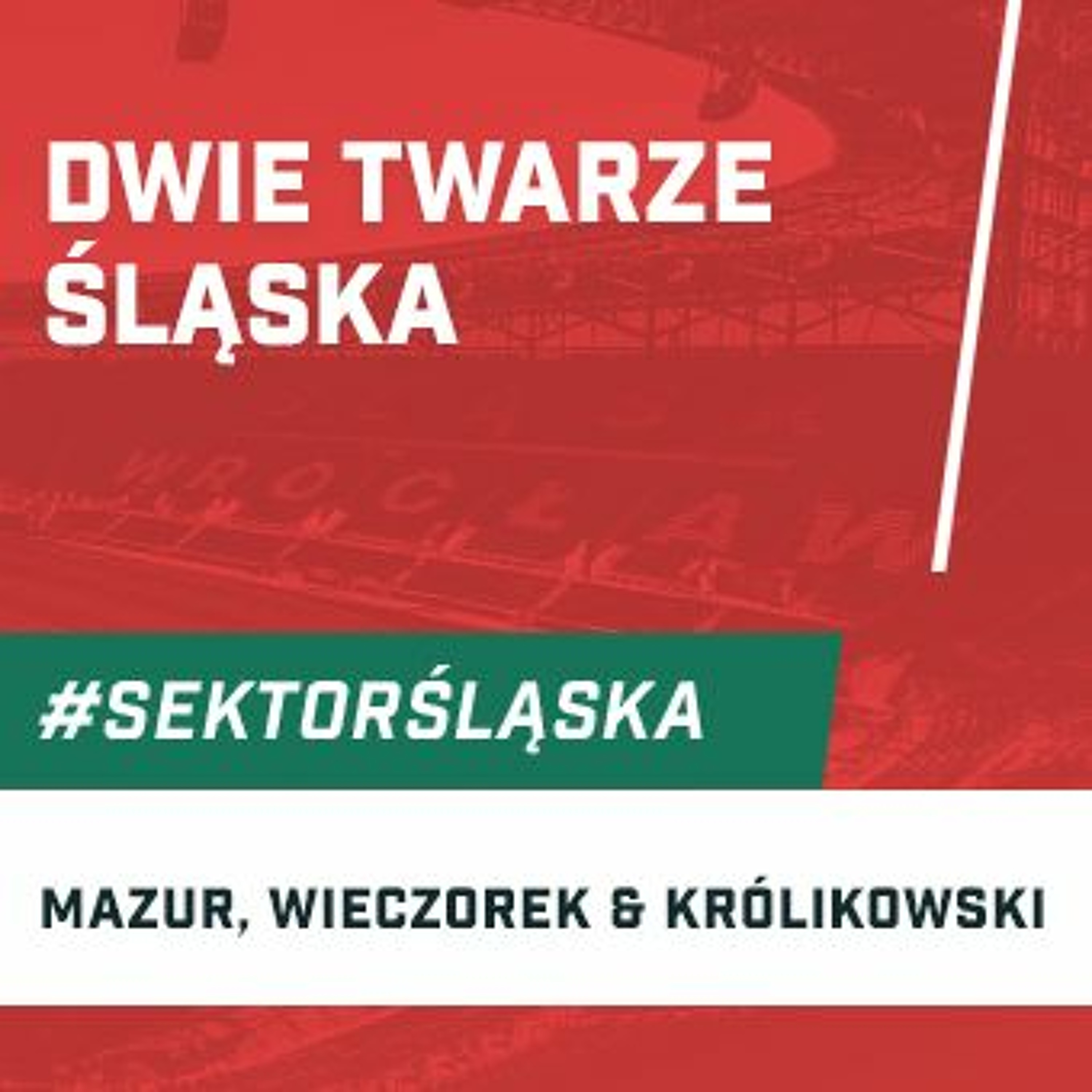Śląsknet