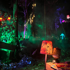 Secret Gardendisco 02.11.24