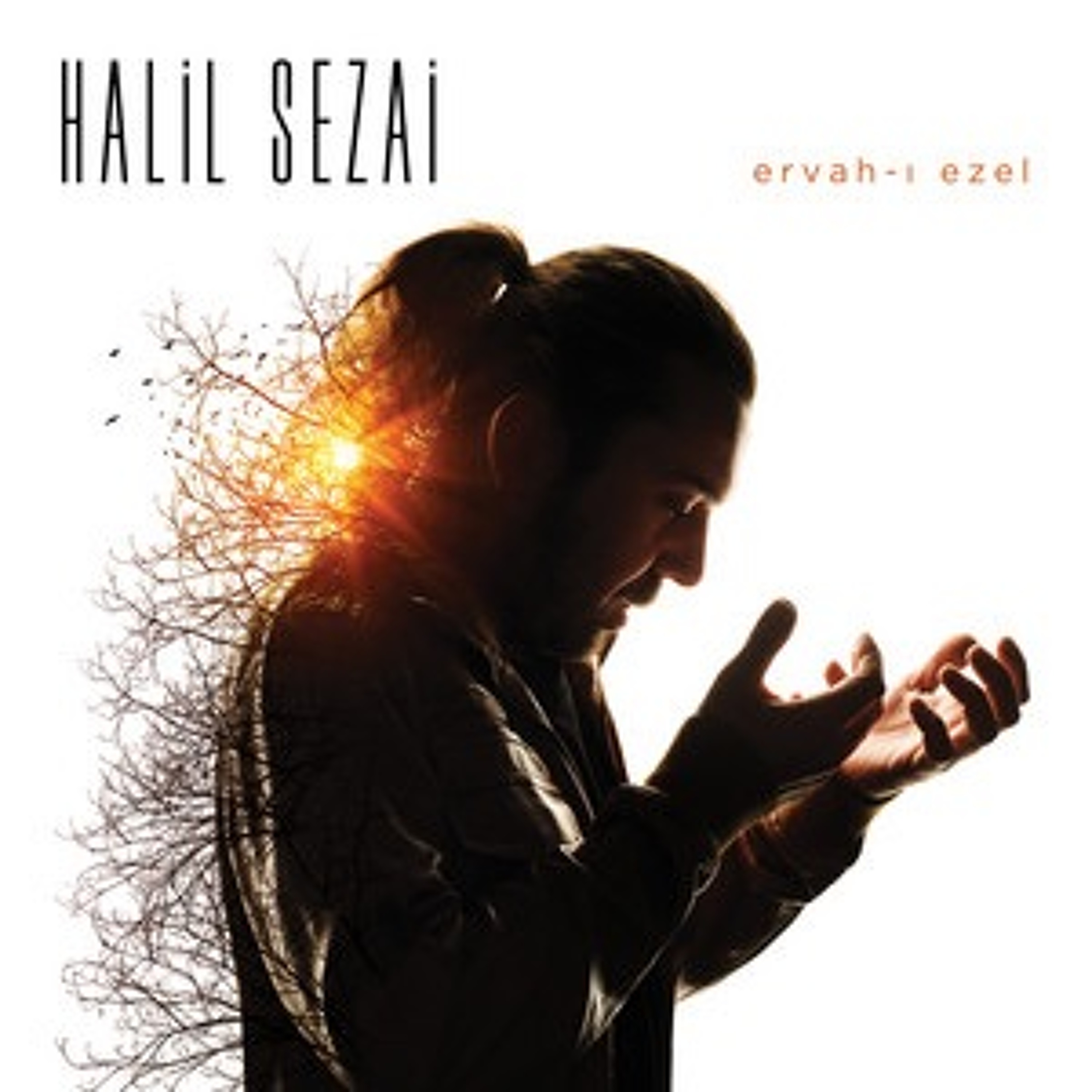 Senol Aycan