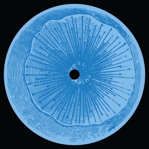 A1. Cory James - Avila - Monday Off MOFF007 (Snippet)