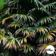 Ray feat. Nab - Street Idiom