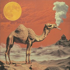 The Camel Sway