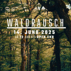 DJ Set@Waldrausch 14.06.2025