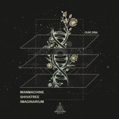 Shivatree, Manmachine, Imaginarium - Our DNA