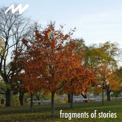 fragments of stories