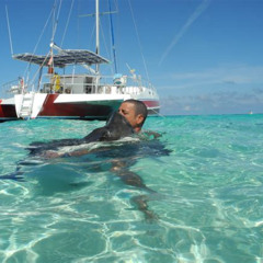 Review Special Price Starfish Point Stingray Citysandbar Coral Gardens