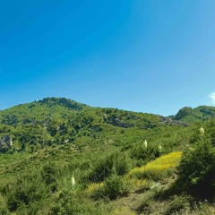 陪我过个冬 (相思八千里) mix