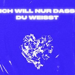 hoodtrap x ich will nur das du weißt (SDP)