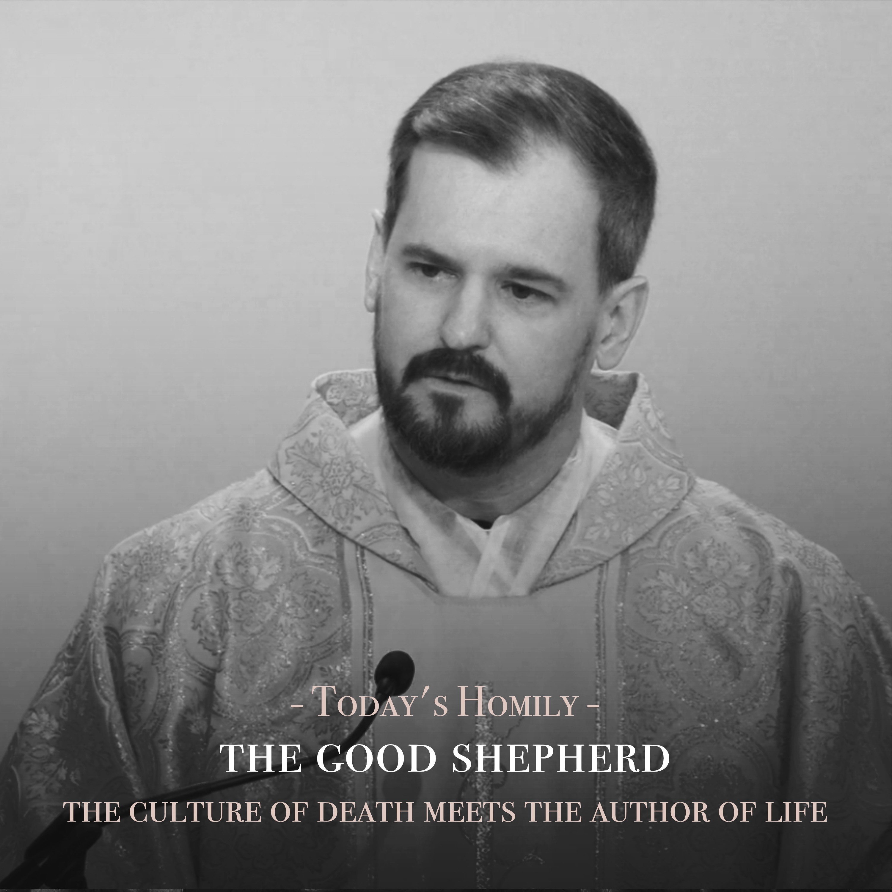 Fr. Barry Braum - Homilies and Conferences