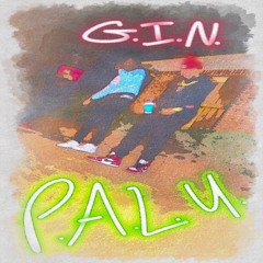 G.I.N. & P.A.L.U.